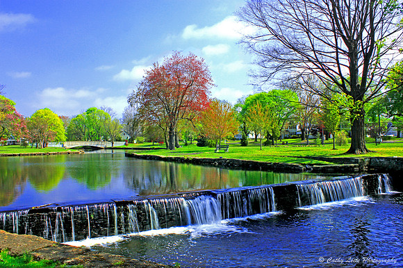 Milford Duck Pond in Spring