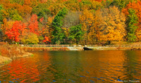 October's Color