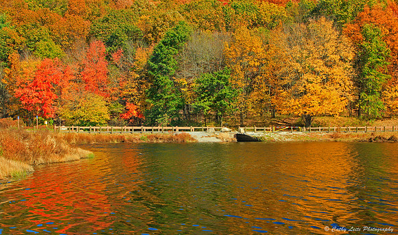 October's Color