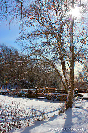 Winter Sunlight