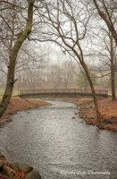 Fog at Hop Brook Golf Course