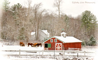Mountain Brook Farm 2
