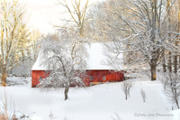 Snowy Day