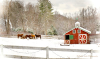 Mountain Brook Farm