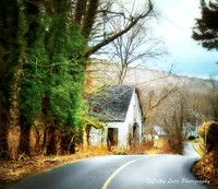 Antique Shed Oxford