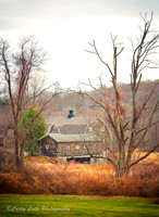 Woodbury Farm Autumn