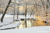 Winter Sunrise
