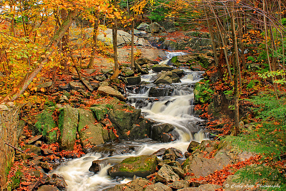 Autumn Forest Waterfall 3