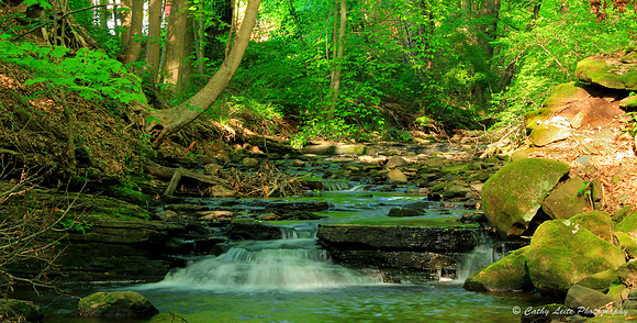 Sunlight on Stream