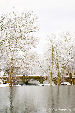 Snowy Bridge - Vertical