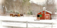 crop keeping fence - 48x24