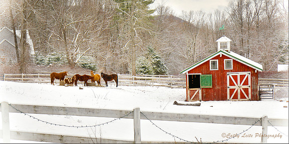 crop keeping fence - 48x24