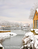Snowy Hotchkiss Bridge