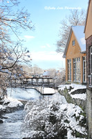 Winter Charm 2 - Vertical