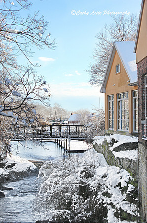 Winter Charm 2 - Vertical
