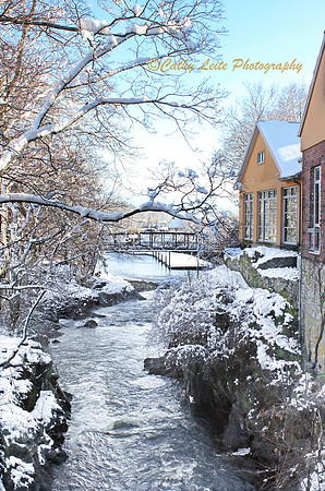 Winter Charm - Vertical