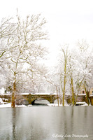 Snowy Bridge - Vertical