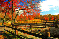 An Autumn View 2
