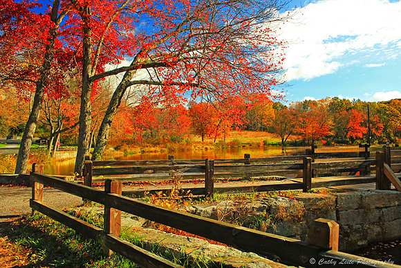 An Autumn View 2
