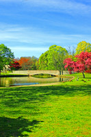 Milford Spring Vertical