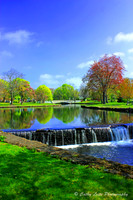 Milford Duck Pond in Spring - Vertical