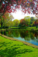 Pond in Springtime - Vertical
