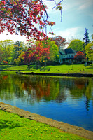 Pond in Springtime - Vertical 2