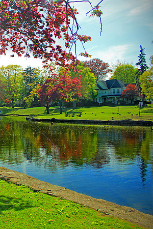 Pond in Springtime - Vertical 2