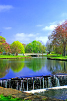 Milford Duck Pond in Spring - Vertical 2