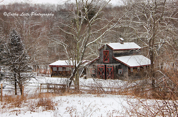 Rustic Wintertime