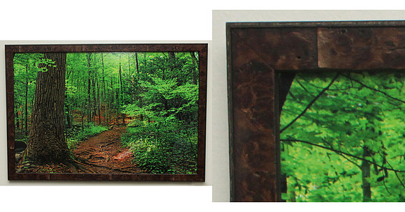 Woodland Pathway