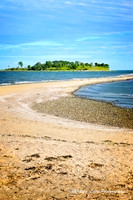 Silver Sands Summer