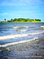 Charles Island Summertime