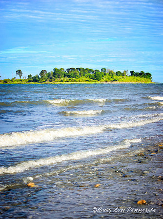 Charles Island Summertime