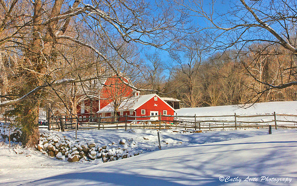 Winter Countryside