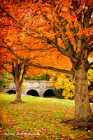 October Hues - Vertical