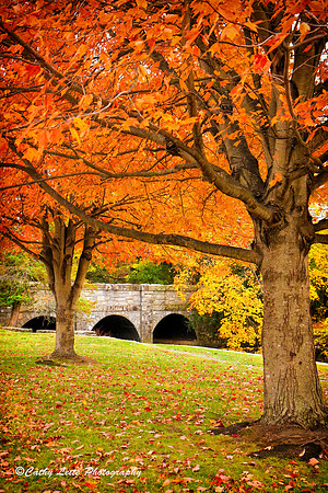 October Hues - Vertical
