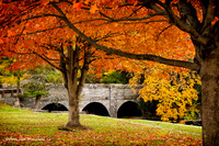 October Hues