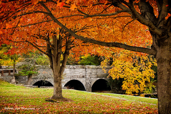 October Hues