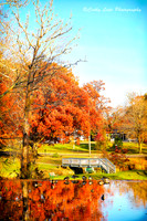 Autumn Duck Pond 2