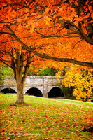 October Hues 2