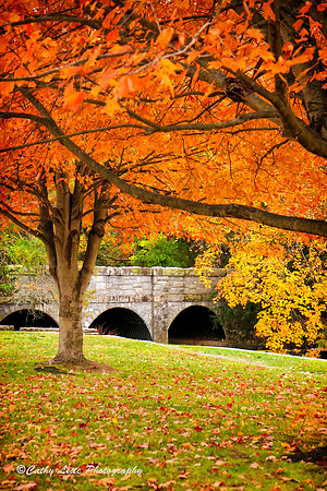 October Hues 2