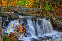Autumn Falls