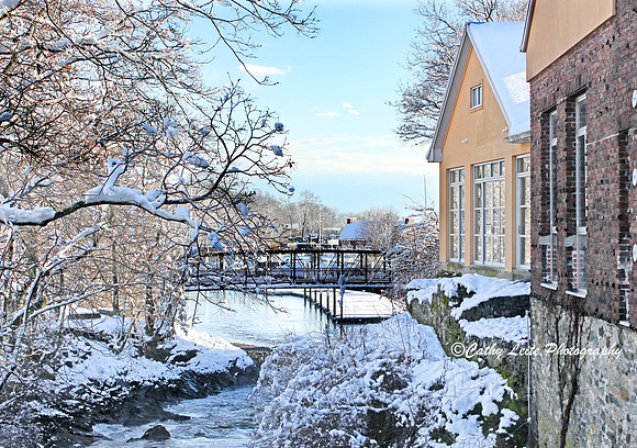 Winter Charm 2