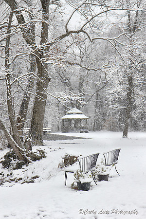 Woodsy Pavillion
