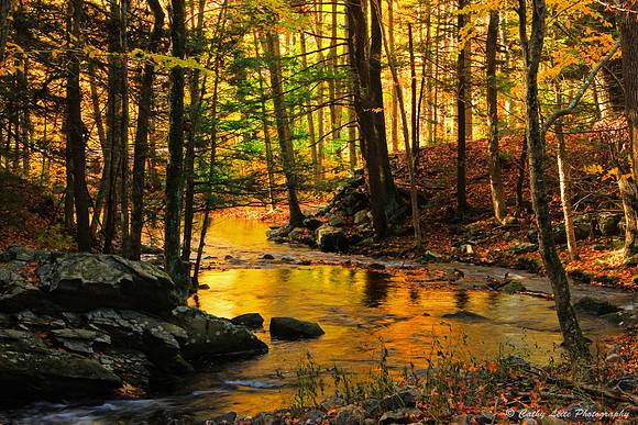 Golden Stream
