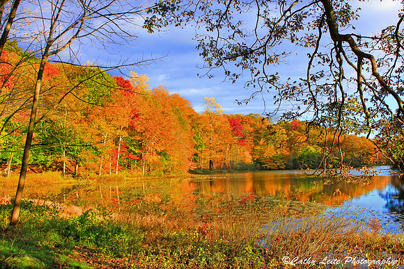 Autumn on the Lake