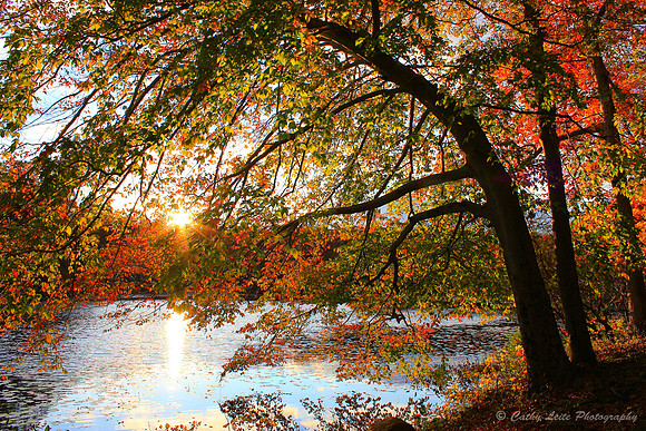 Autumn Sunset