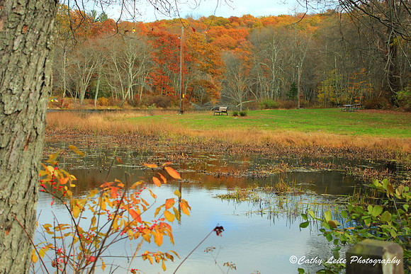 Warm Hues at Papermill Pond