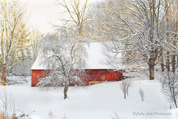 Snowy Day